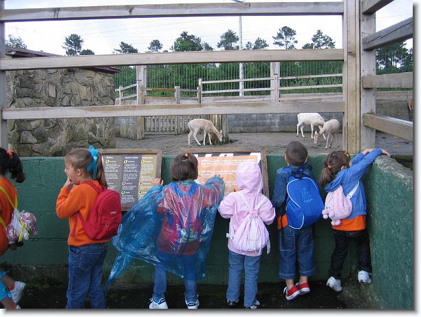 Diapositiva siguiente